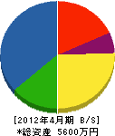 穴沢建設 貸借対照表 2012年4月期