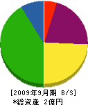 田嶋板金工業 貸借対照表 2009年9月期