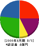 丸井増井工務店 貸借対照表 2008年4月期