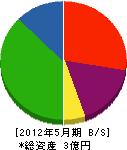 桜ノ宮興起 貸借対照表 2012年5月期
