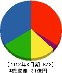 千代田計装 貸借対照表 2012年3月期