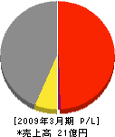 京葉新日軽 損益計算書 2009年3月期