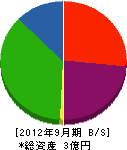 ツキヂ索道商事 貸借対照表 2012年9月期