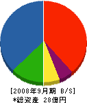 富士建設 貸借対照表 2008年9月期