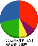 富山工業 貸借対照表 2012年9月期