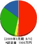 新横浜ガレージ製作所 貸借対照表 2009年3月期