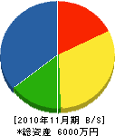 南大阪道路工事 貸借対照表 2010年11月期