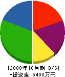 小川設備工業 貸借対照表 2008年10月期