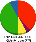 大泉鉄工所 貸借対照表 2011年6月期