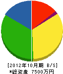 辻工業 貸借対照表 2012年10月期
