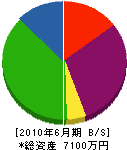 前田建設 貸借対照表 2010年6月期
