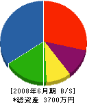 土信田電気 貸借対照表 2008年6月期