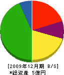岡本組 貸借対照表 2009年12月期