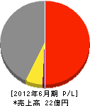 飯田組 損益計算書 2012年6月期