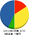 川田電機工務店 貸借対照表 2012年6月期