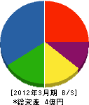 富士電工 貸借対照表 2012年3月期
