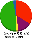 高島組 貸借対照表 2009年10月期