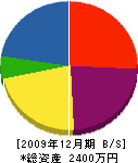 武田建工 貸借対照表 2009年12月期