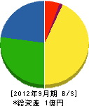 富松組 貸借対照表 2012年9月期