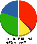 大牟田ガスリビング 貸借対照表 2012年3月期