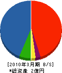 西田工務店 貸借対照表 2010年3月期