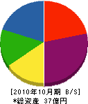 大昭工業 貸借対照表 2010年10月期
