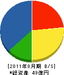 丸山工務所 貸借対照表 2011年8月期