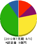 宇佐見産業 貸借対照表 2012年7月期