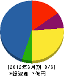 石上苅田建設 貸借対照表 2012年6月期