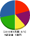 梅田組 貸借対照表 2010年9月期