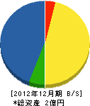 佐山建設 貸借対照表 2012年12月期