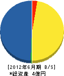朝日電気工業 貸借対照表 2012年6月期