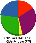 大松 貸借対照表 2012年6月期