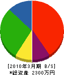 穴田組 貸借対照表 2010年3月期