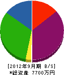 関野工務店 貸借対照表 2012年9月期