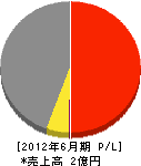 田中土木 損益計算書 2012年6月期