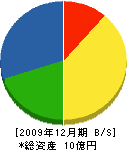 新潟砂利建設工業 貸借対照表 2009年12月期