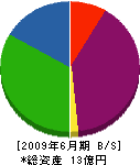 篠田屋 貸借対照表 2009年6月期