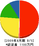 互栄電気工業社 貸借対照表 2009年4月期