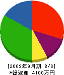 田辺組 貸借対照表 2009年9月期