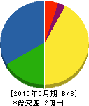 石坂工業 貸借対照表 2010年5月期