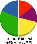 松本建設 貸借対照表 2011年3月期