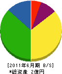 野村電気 貸借対照表 2011年6月期