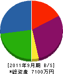 田島造園緑化 貸借対照表 2011年9月期