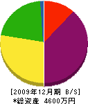ヤマカ 貸借対照表 2009年12月期