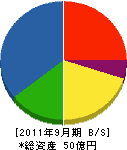 中央電子光学 貸借対照表 2011年9月期