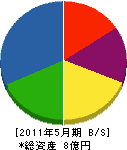 九州栄電社 貸借対照表 2011年5月期