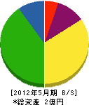 岩井電気工業 貸借対照表 2012年5月期