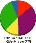太田板金加工所 貸借対照表 2012年7月期