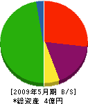 高橋作工 貸借対照表 2009年5月期